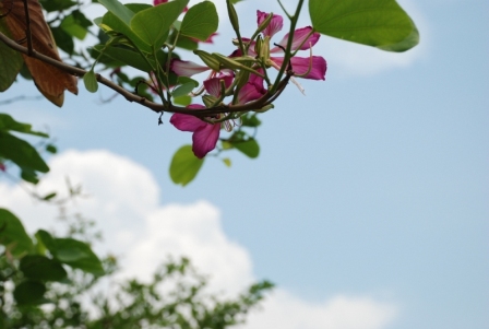 DSC_0020.JPG