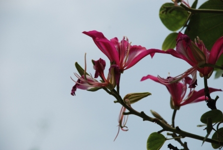 DSC_0022.JPG