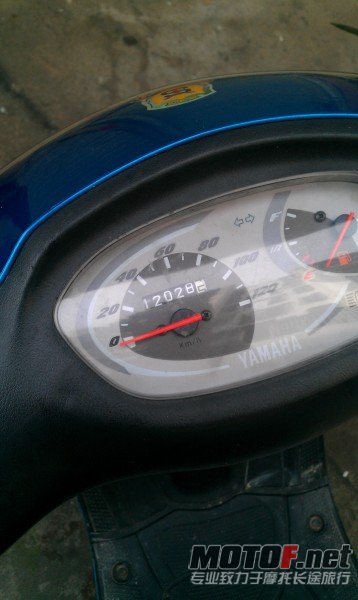 IMAG0286.jpg