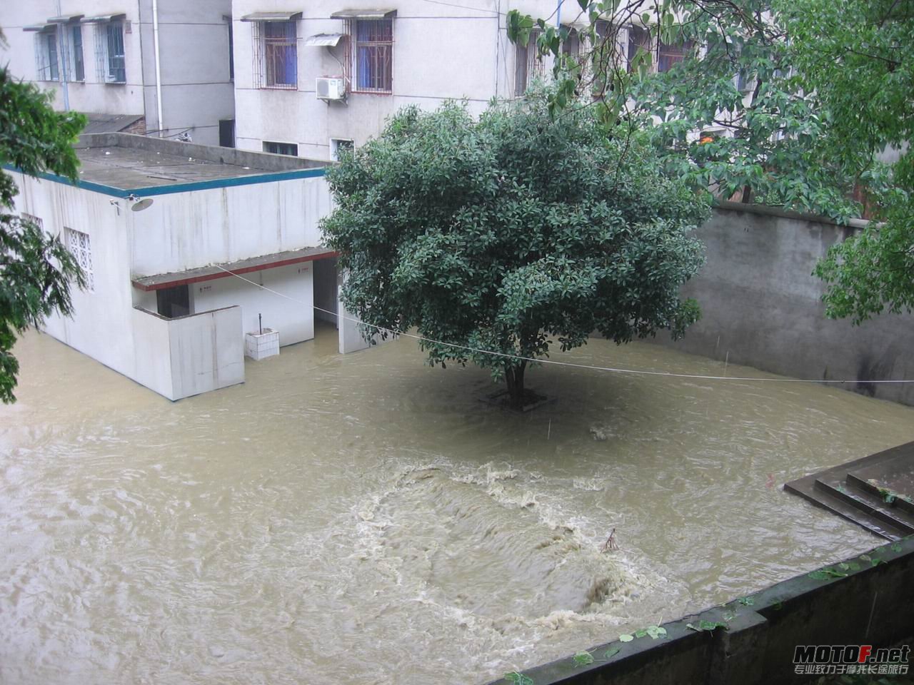调整大小 IMG_0017.JPG