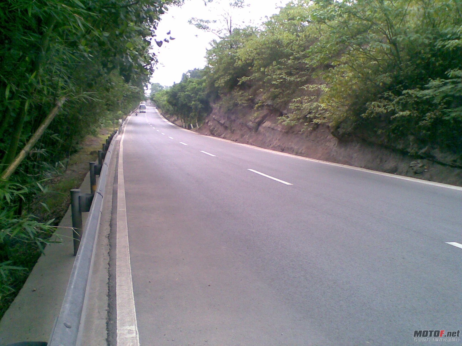 20110611(002).jpg