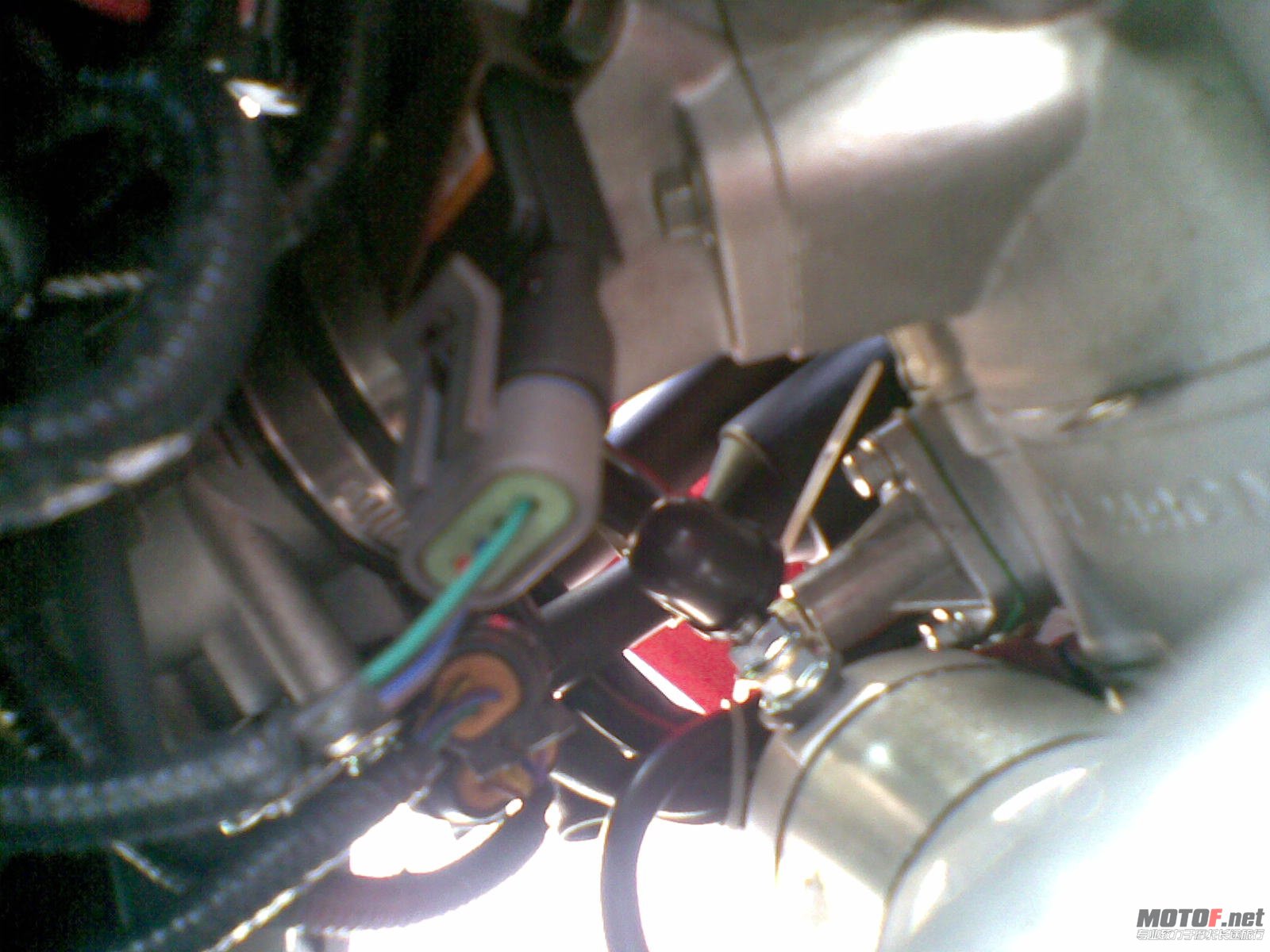 20110614(009).jpg
