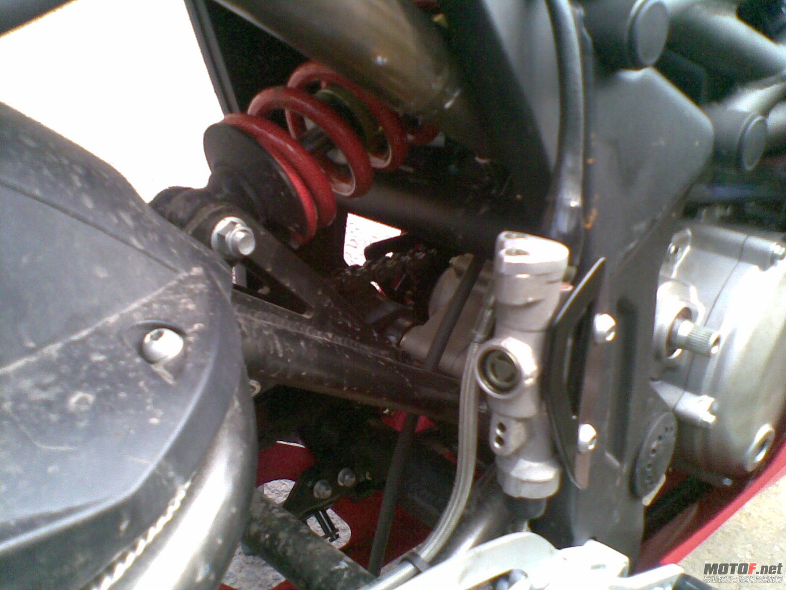 20110614(010).jpg
