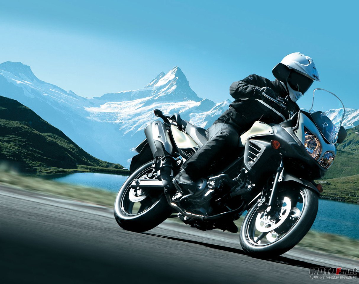 big_2suzuki_dl650_18.jpg