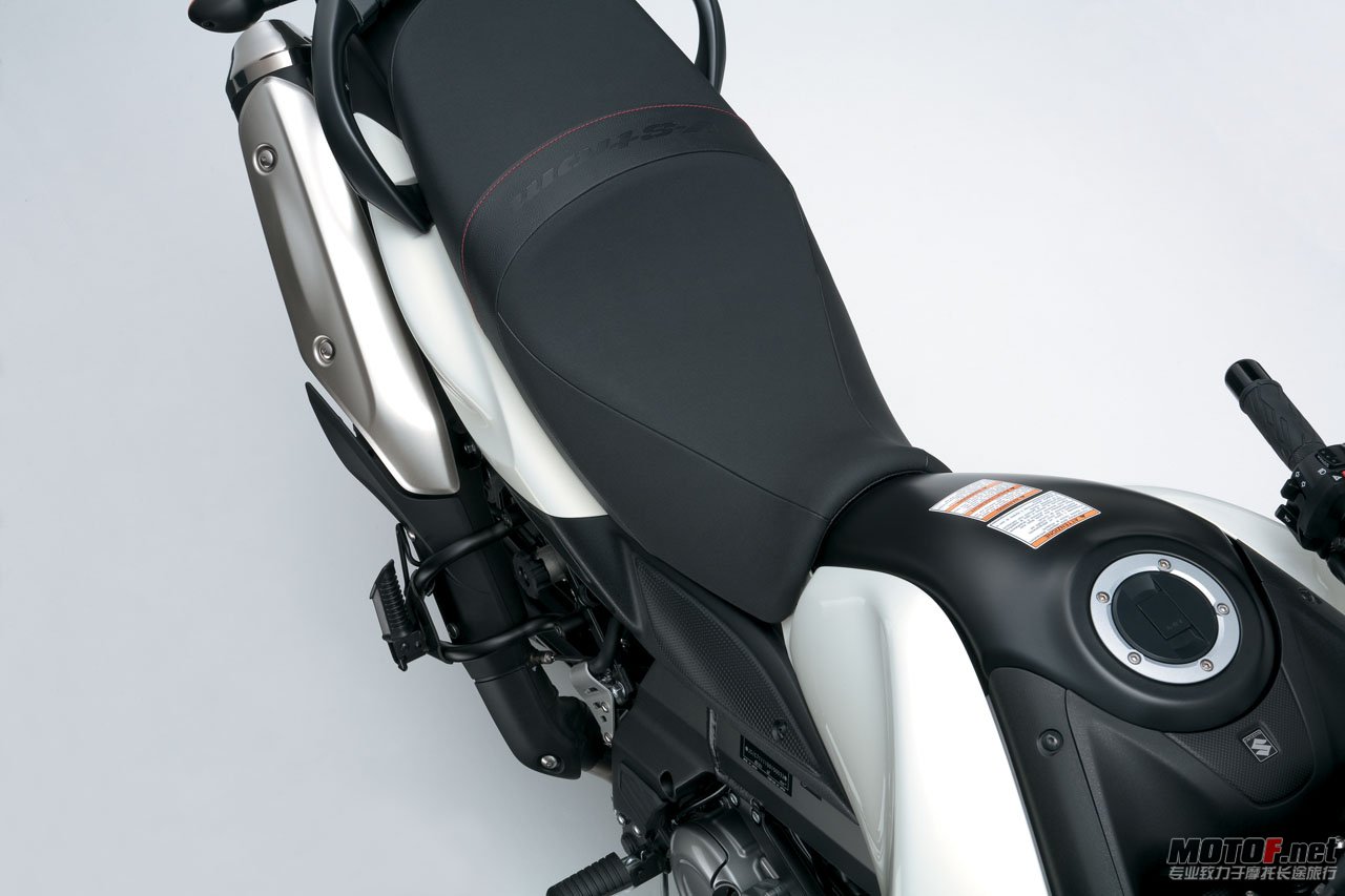 big_suzuki_dl650_04.jpg