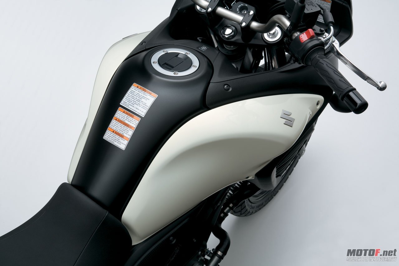 big_suzuki_dl650_10.jpg