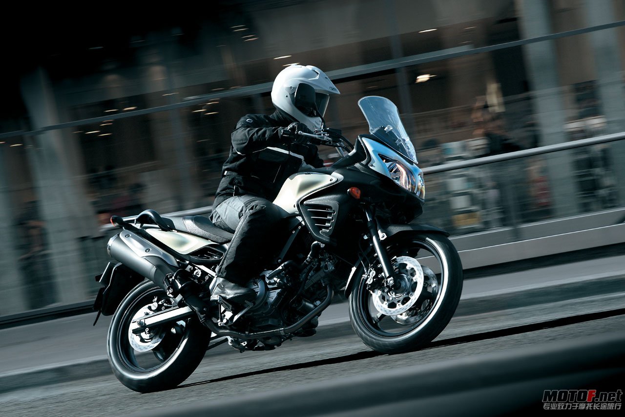 big_suzuki_dl650_23.jpg