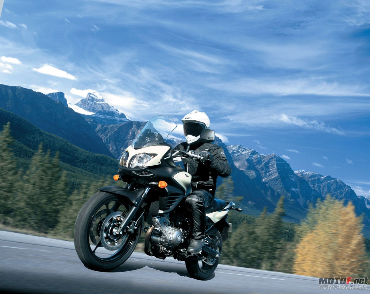 big_suzuki_dl650_27.jpg
