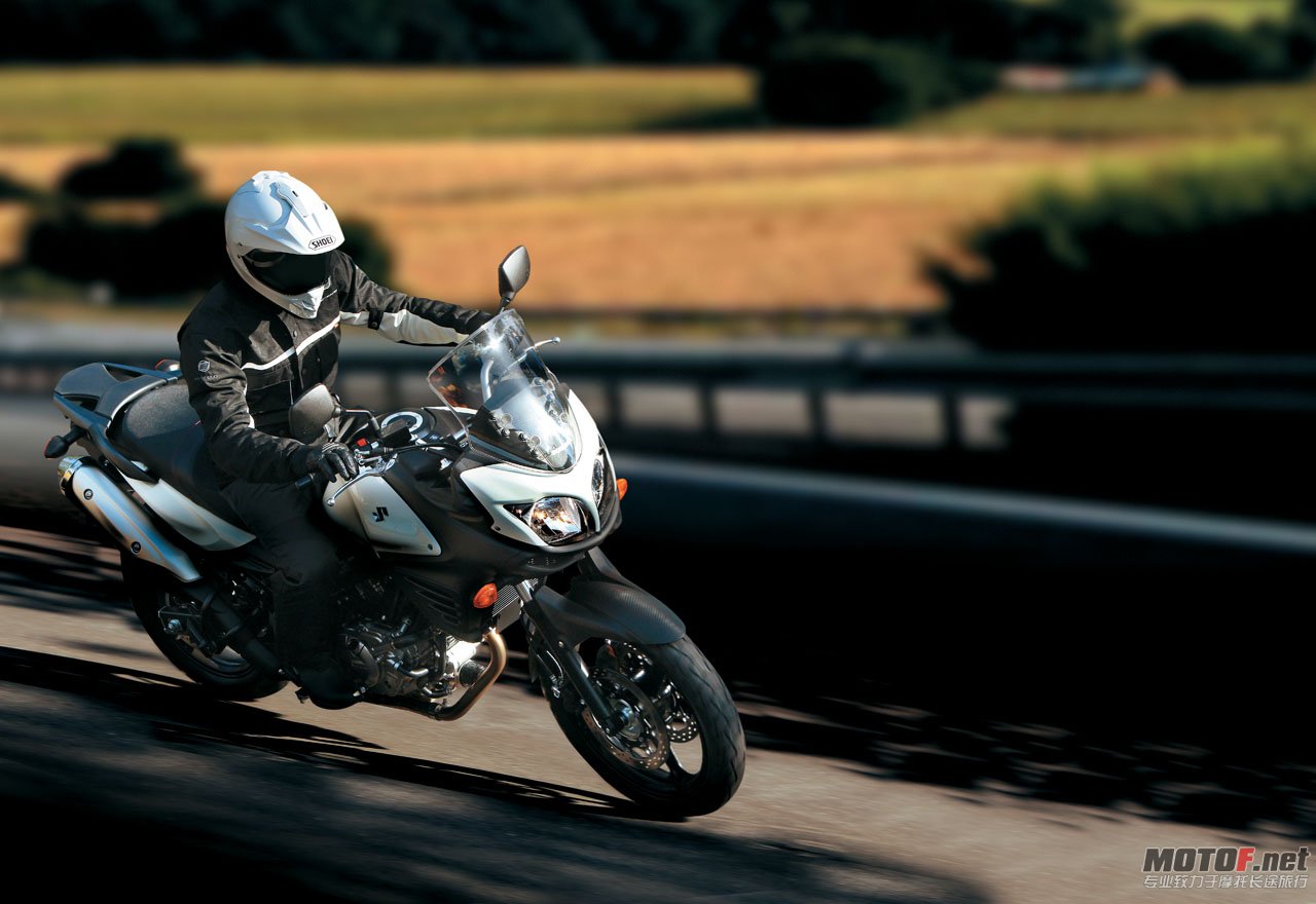 big_suzuki_dl650_35.jpg