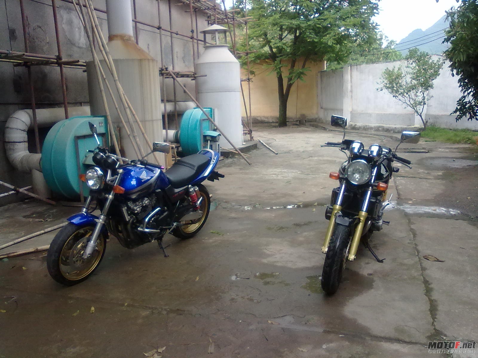 20110611110.jpg