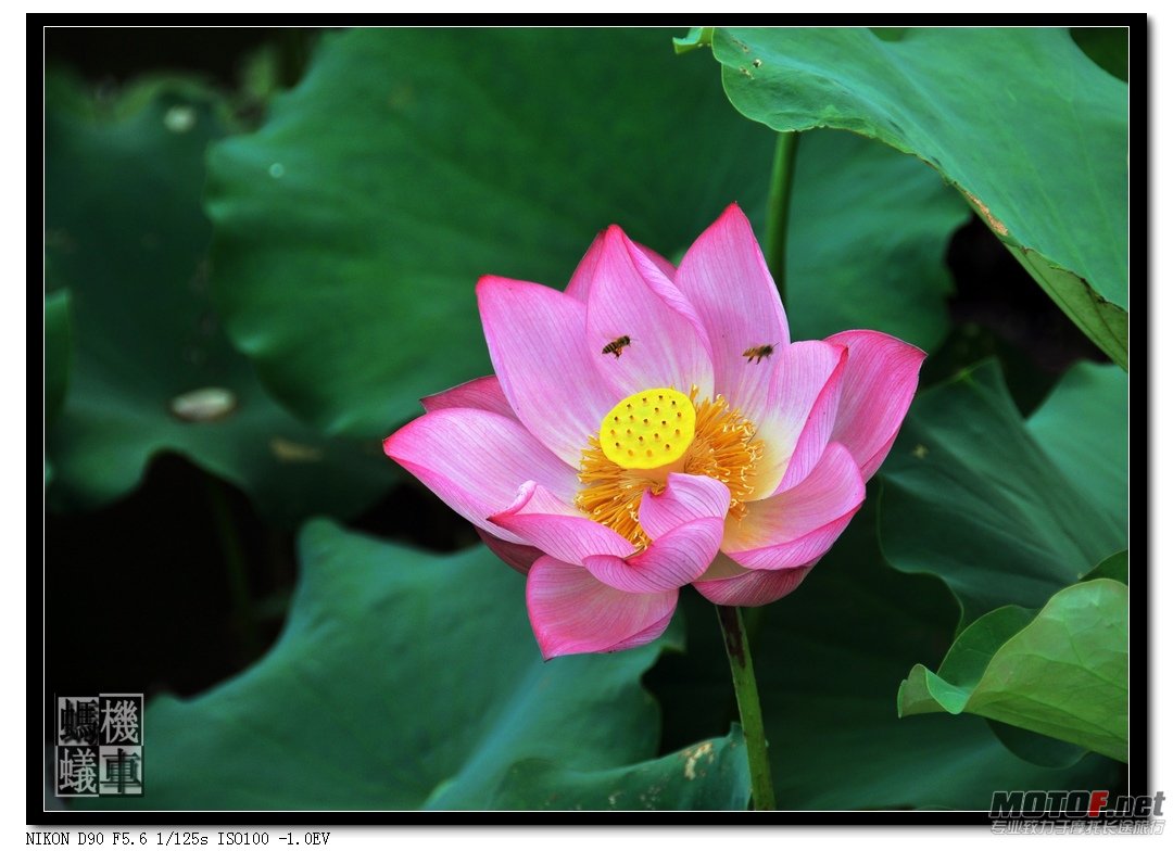 照片 044.jpg