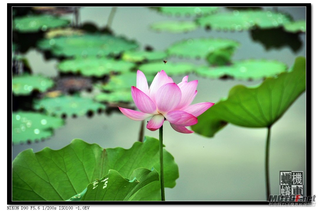 照片 055.jpg