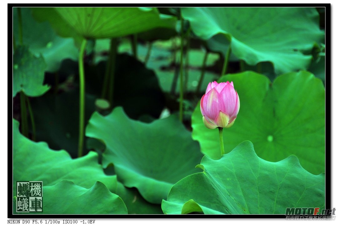 照片 058.jpg