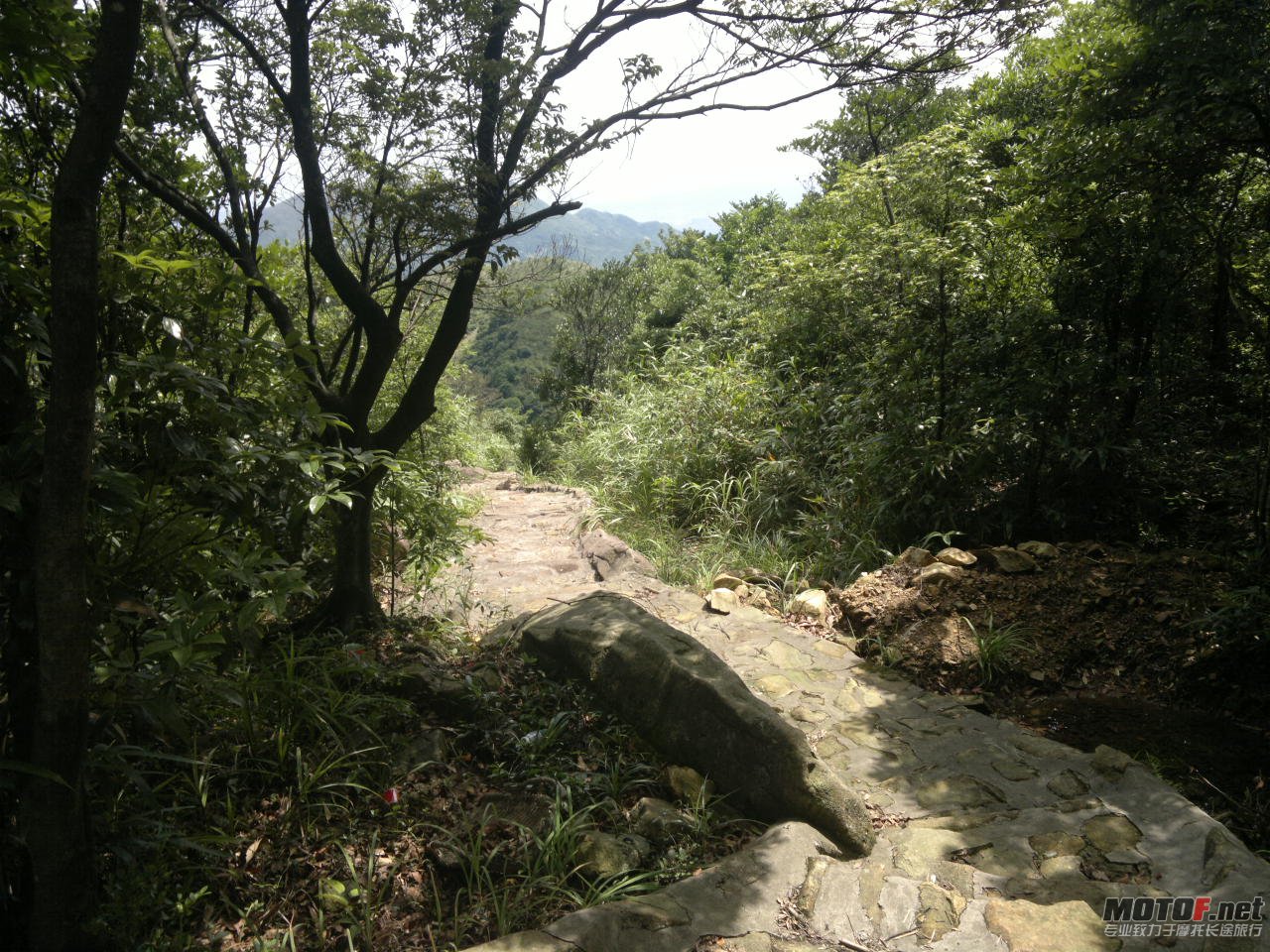 20110625915.jpg