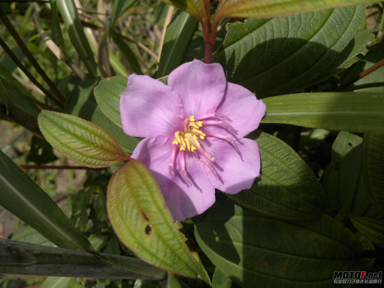 201106251002.jpg