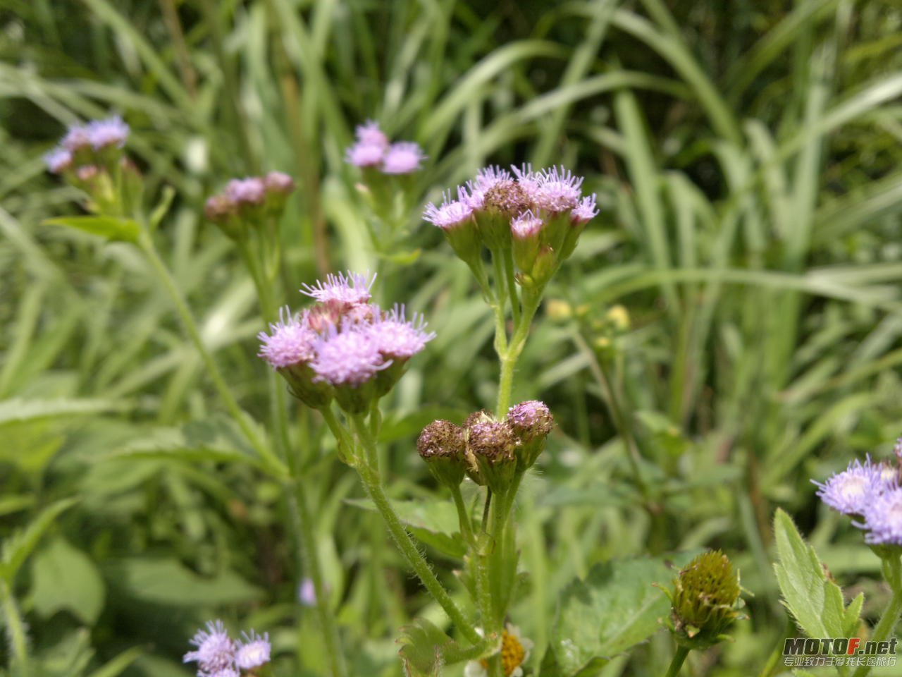 20110625992.jpg
