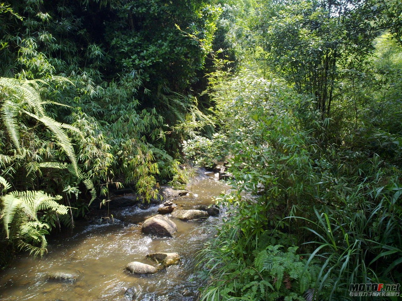 20110625379.jpg