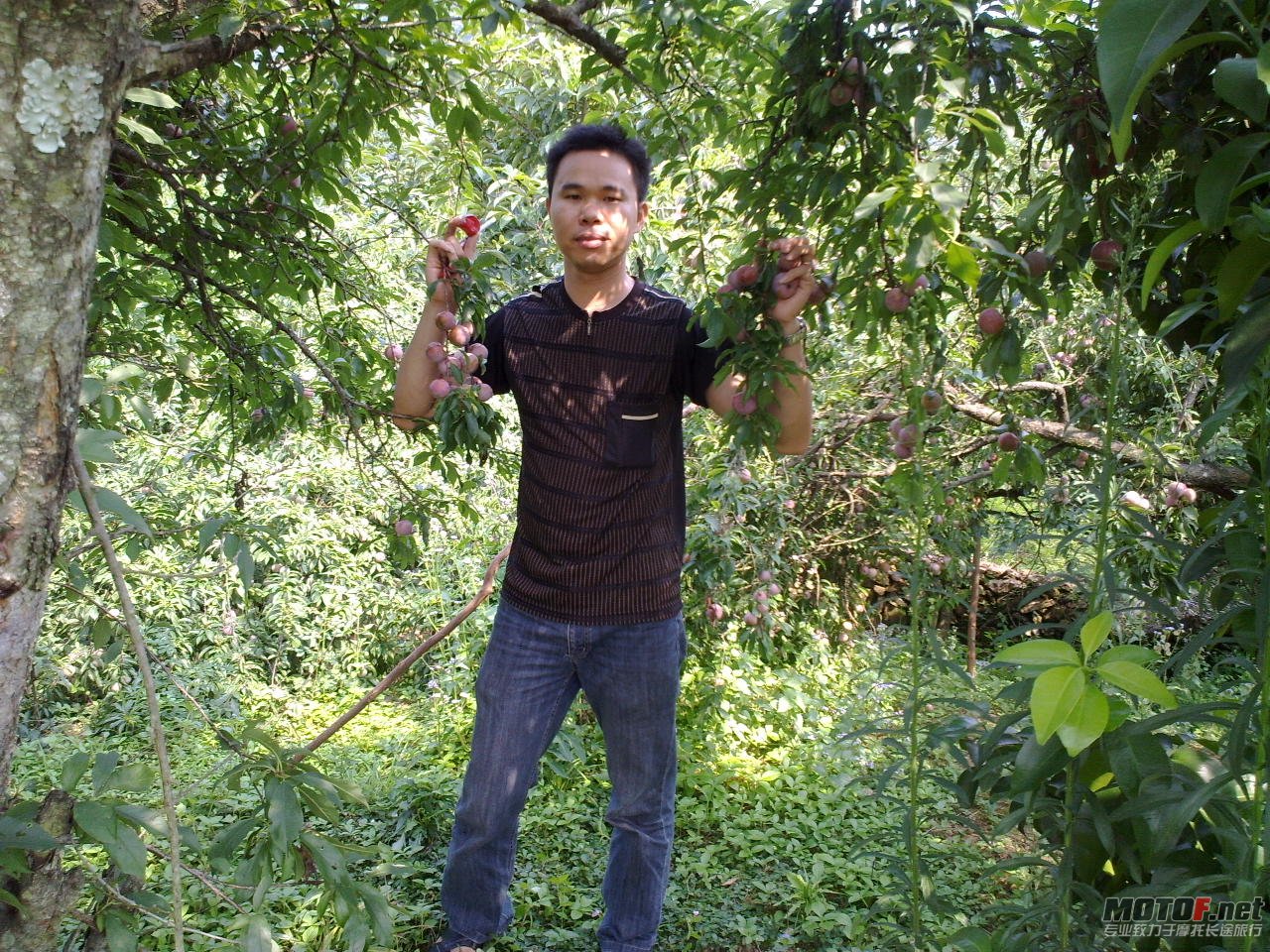 20110625384.jpg