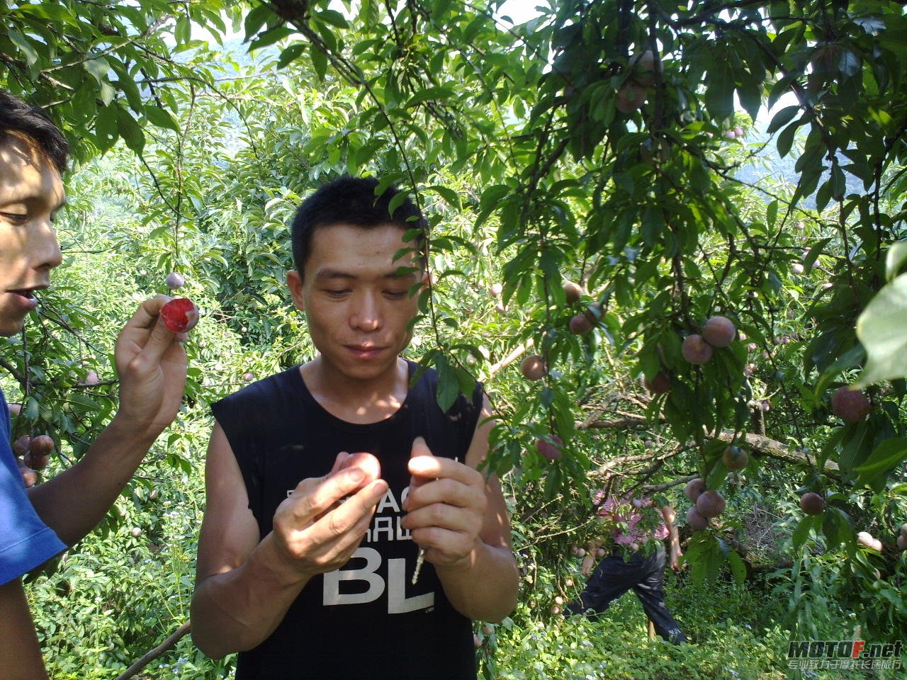 20110625385.jpg