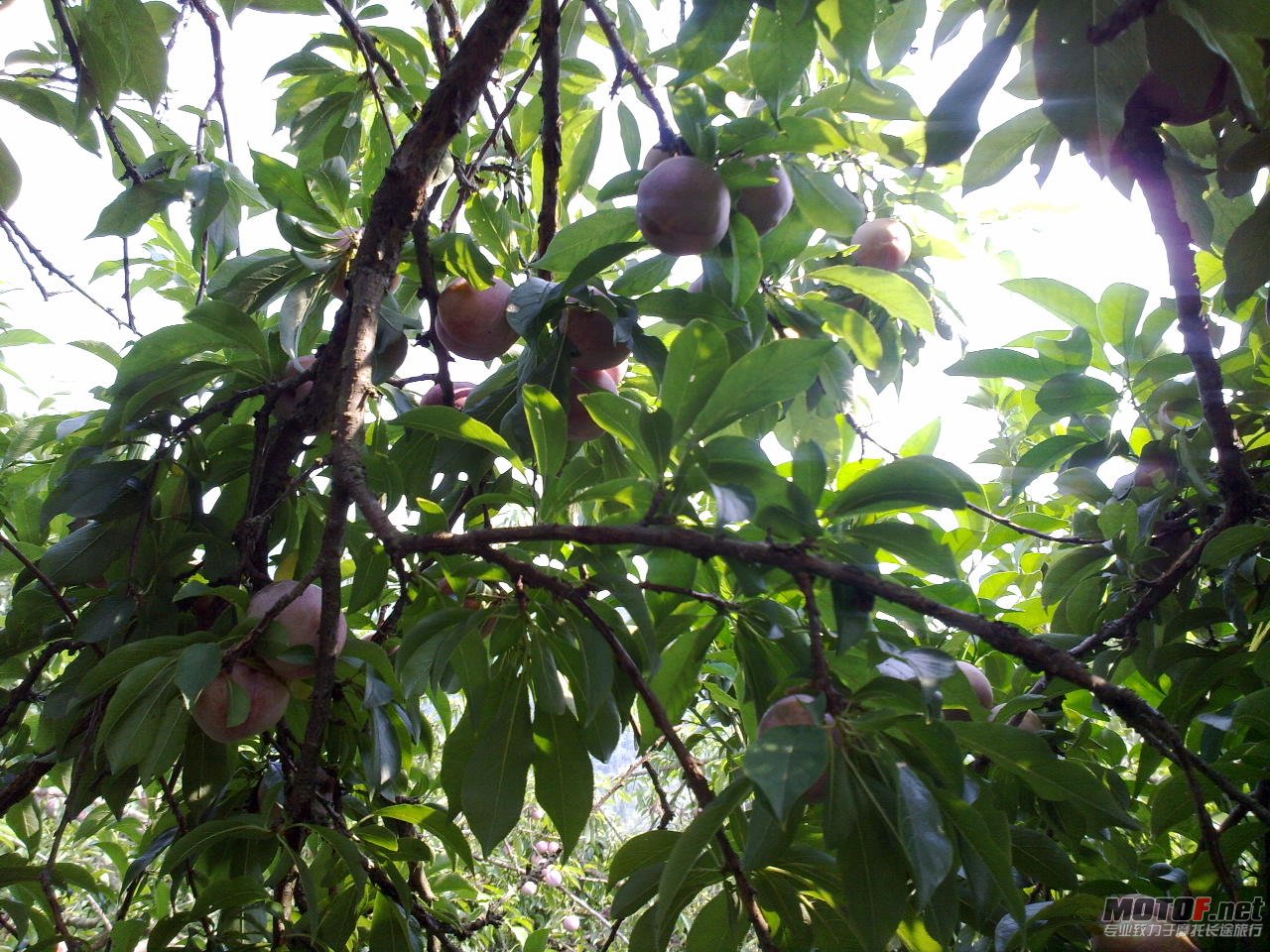 20110625386.jpg