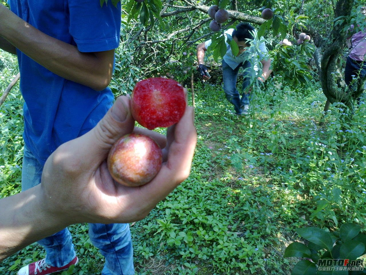 20110625387.jpg