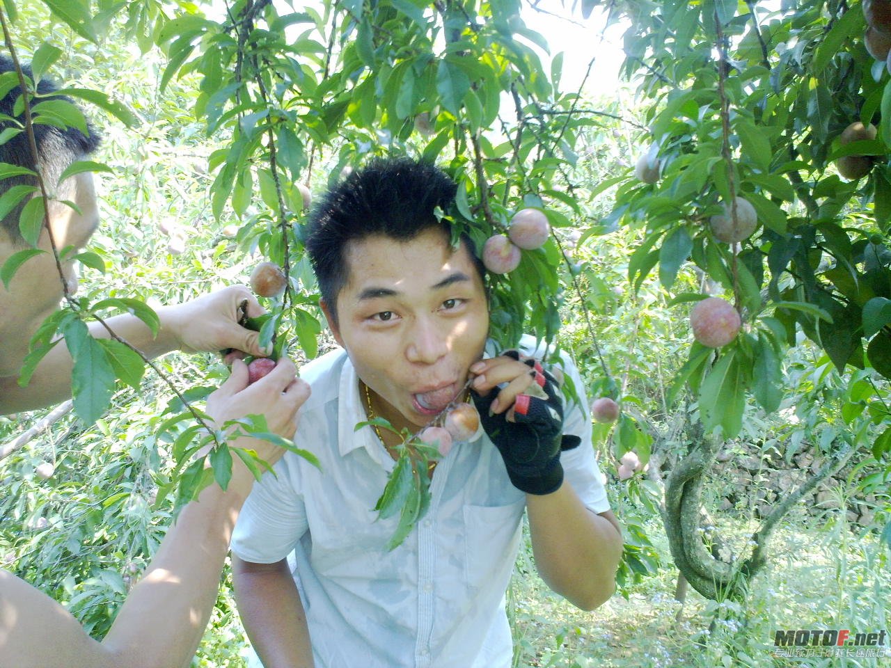 20110625388.jpg