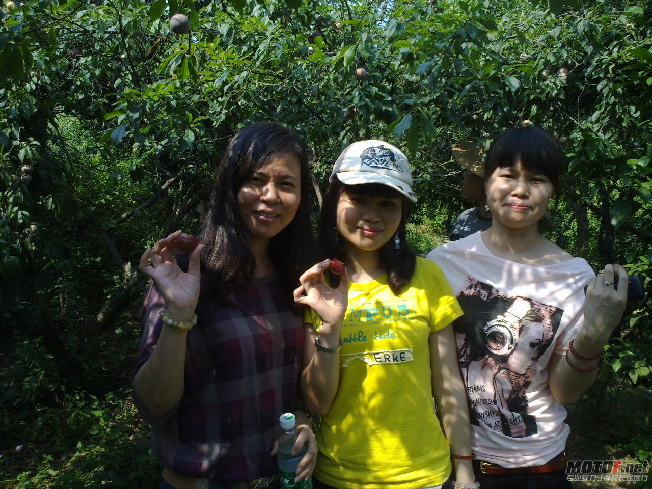 20110625389.jpg