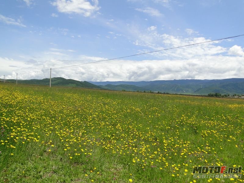 DSC00357.JPG