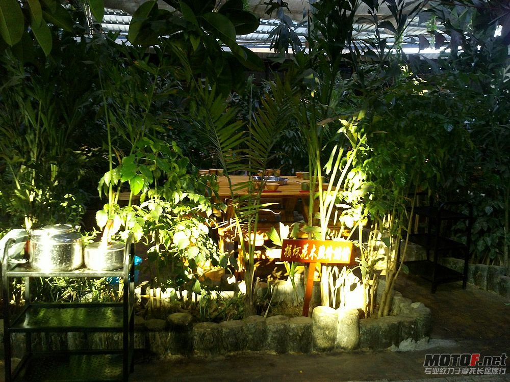nEO_IMG_YP20110629183054.jpg
