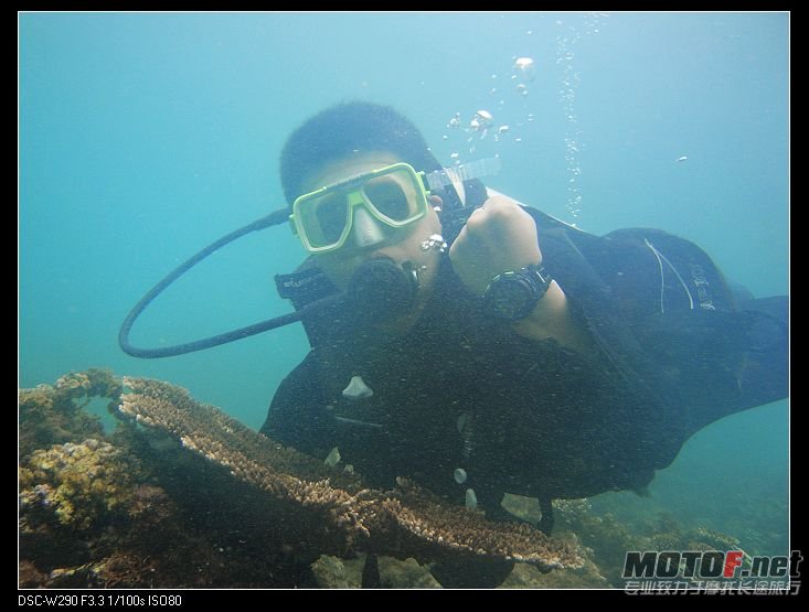 nEO_IMG_DSC08267.jpg