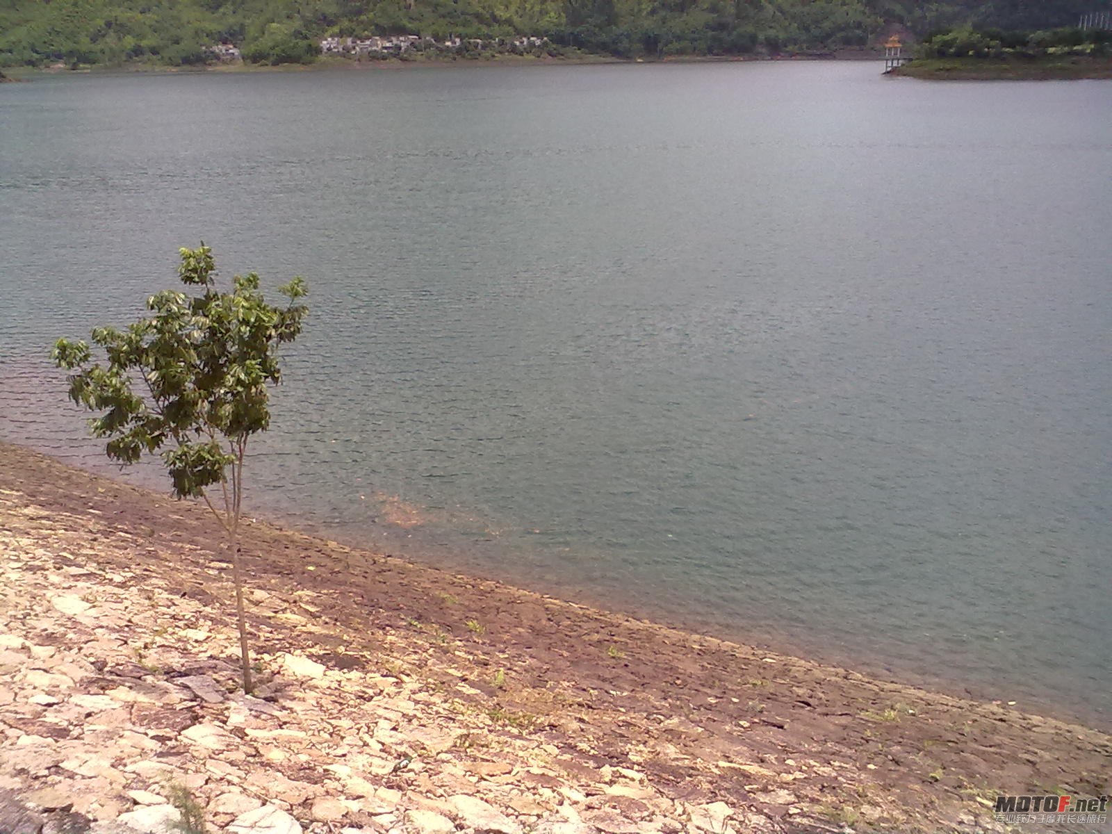 20110625218.jpg