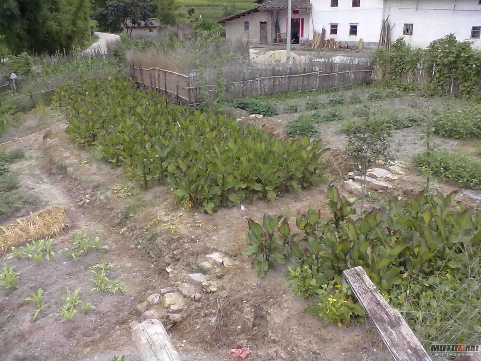 20110626237.jpg