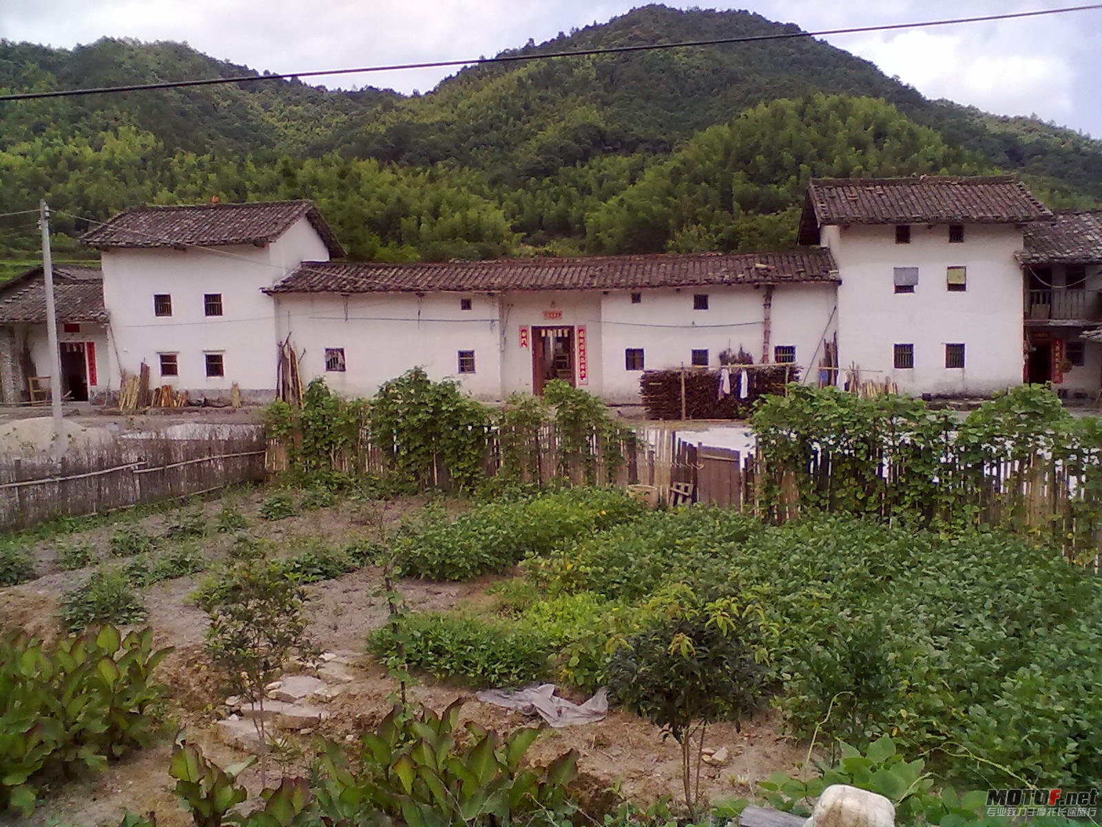 20110626238.jpg
