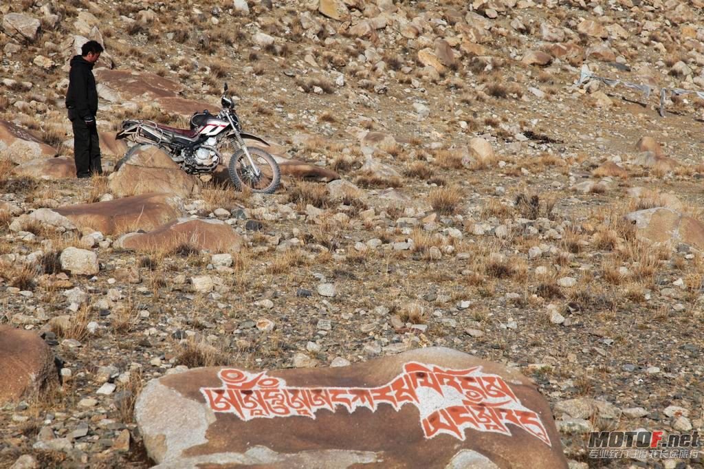 IMG_3467.jpg