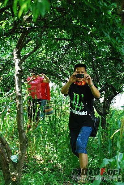 DSC_0643.jpg