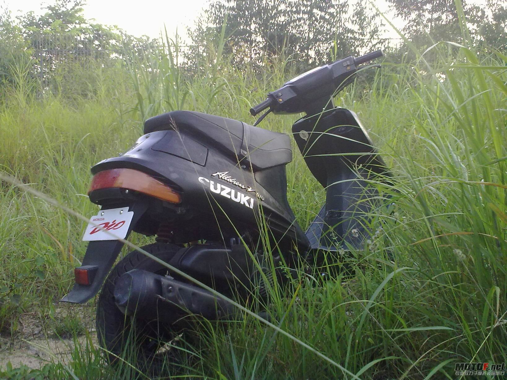 20110705293.jpg