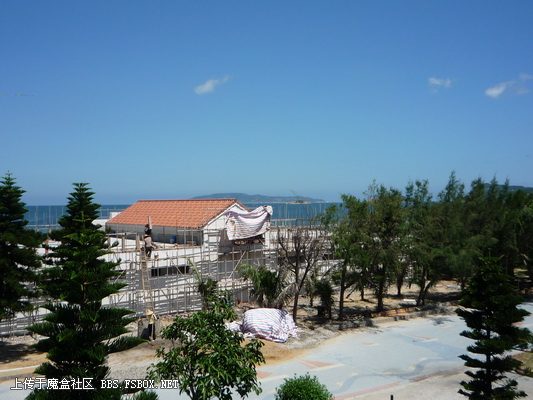 20110706_cd51bc68c7e09fba2fa2muGjjSylqF0Y.jpg