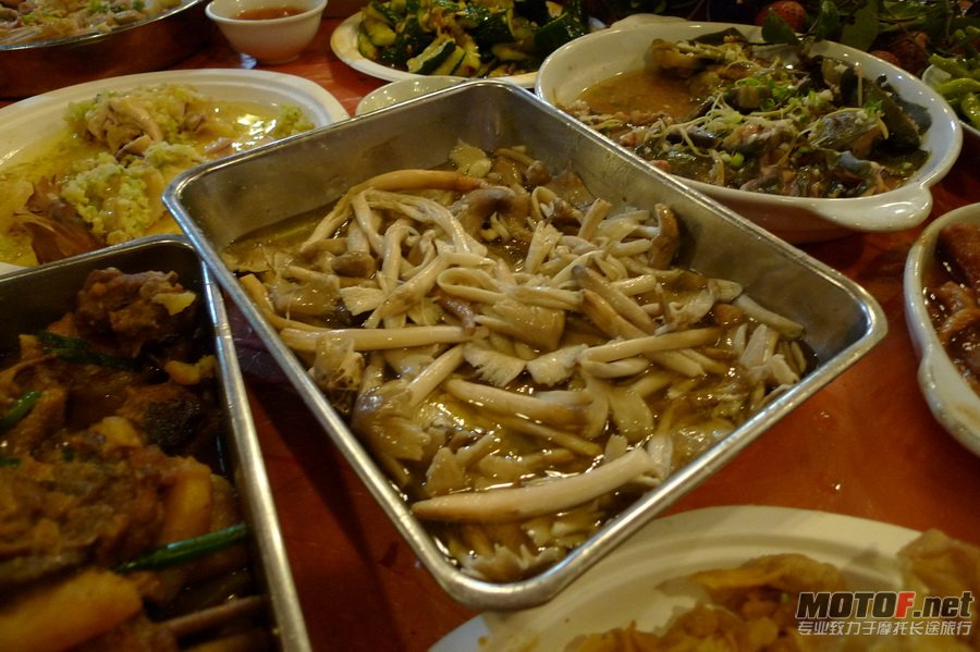 萝岗鸡虫荔枝菌宴012.jpg
