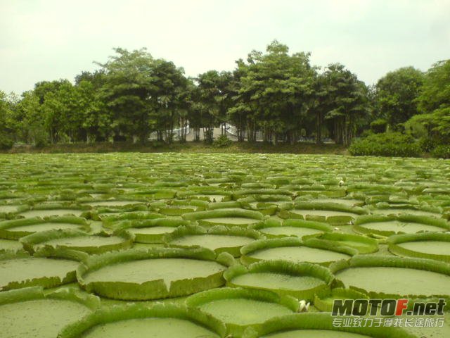 DSC00304.JPG