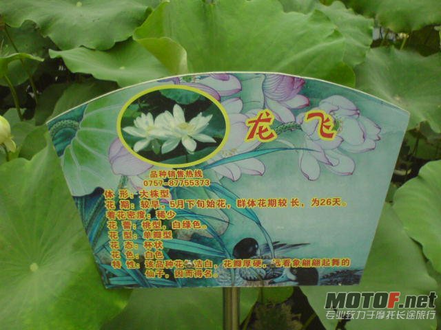 DSC00305.JPG