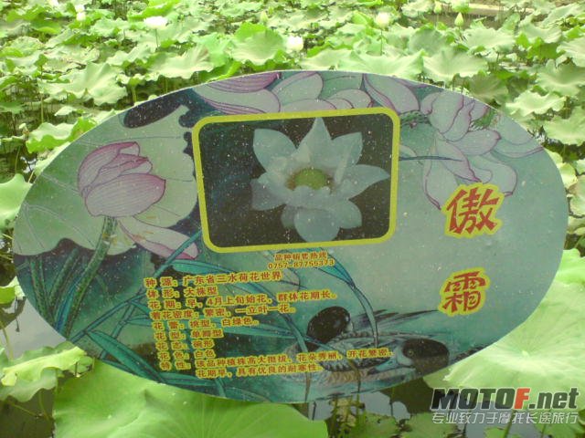 DSC00307.JPG