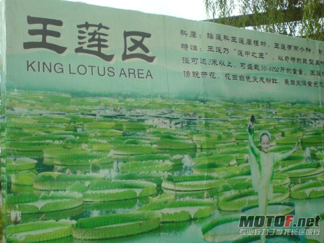 DSC00311.JPG