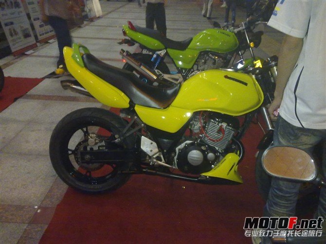 212514lzf33c3nyqrgcgkx[1].jpg