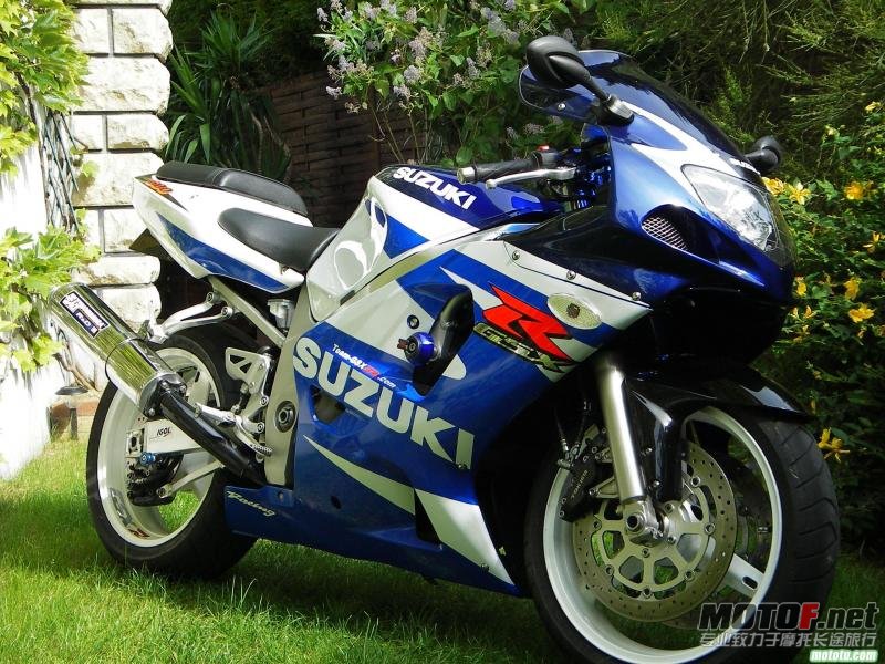 1228466607251617-Suzuki-GSX-R-600.jpg
