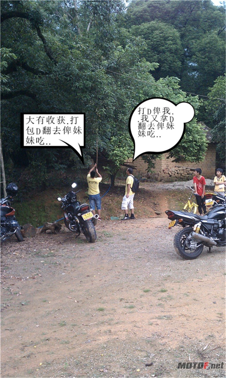 IMAG0335.jpg