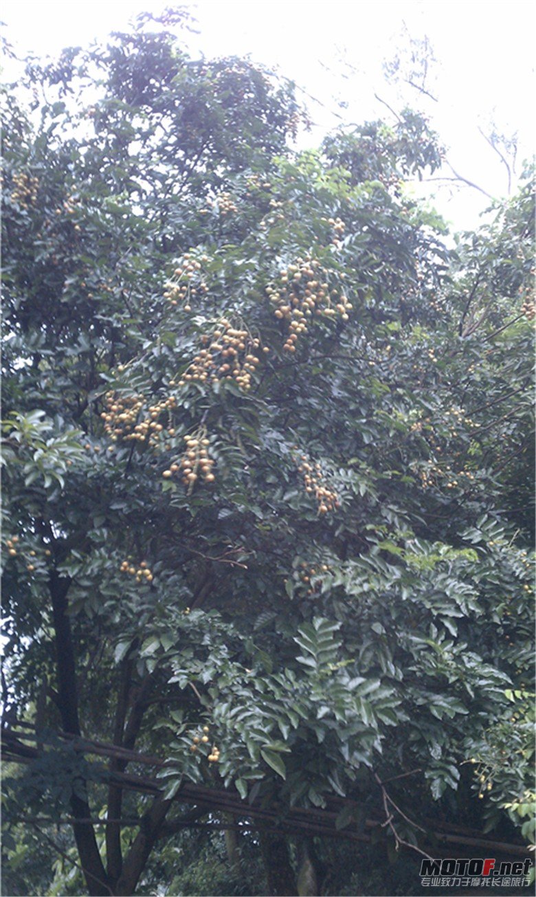 IMAG0336.jpg