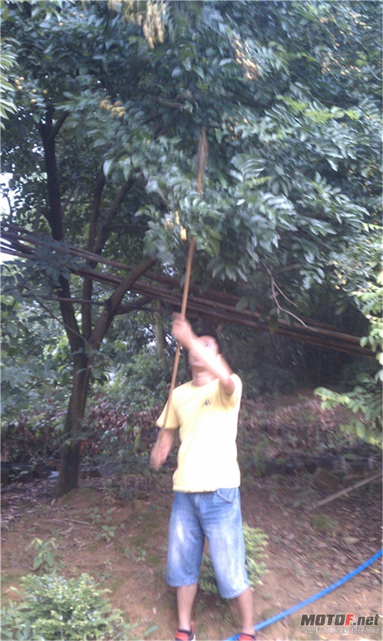 IMAG0338.jpg