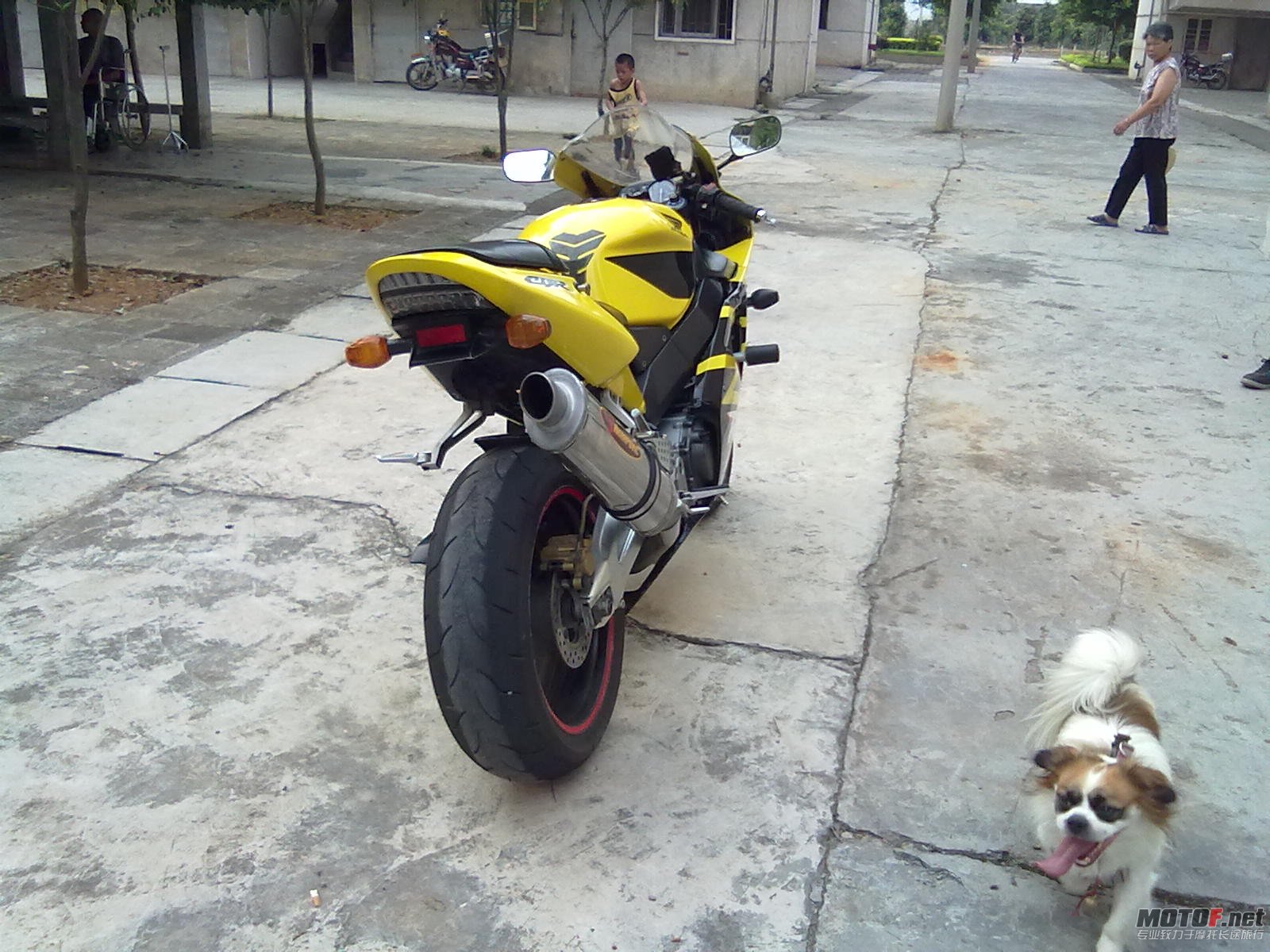 20110710053.jpg