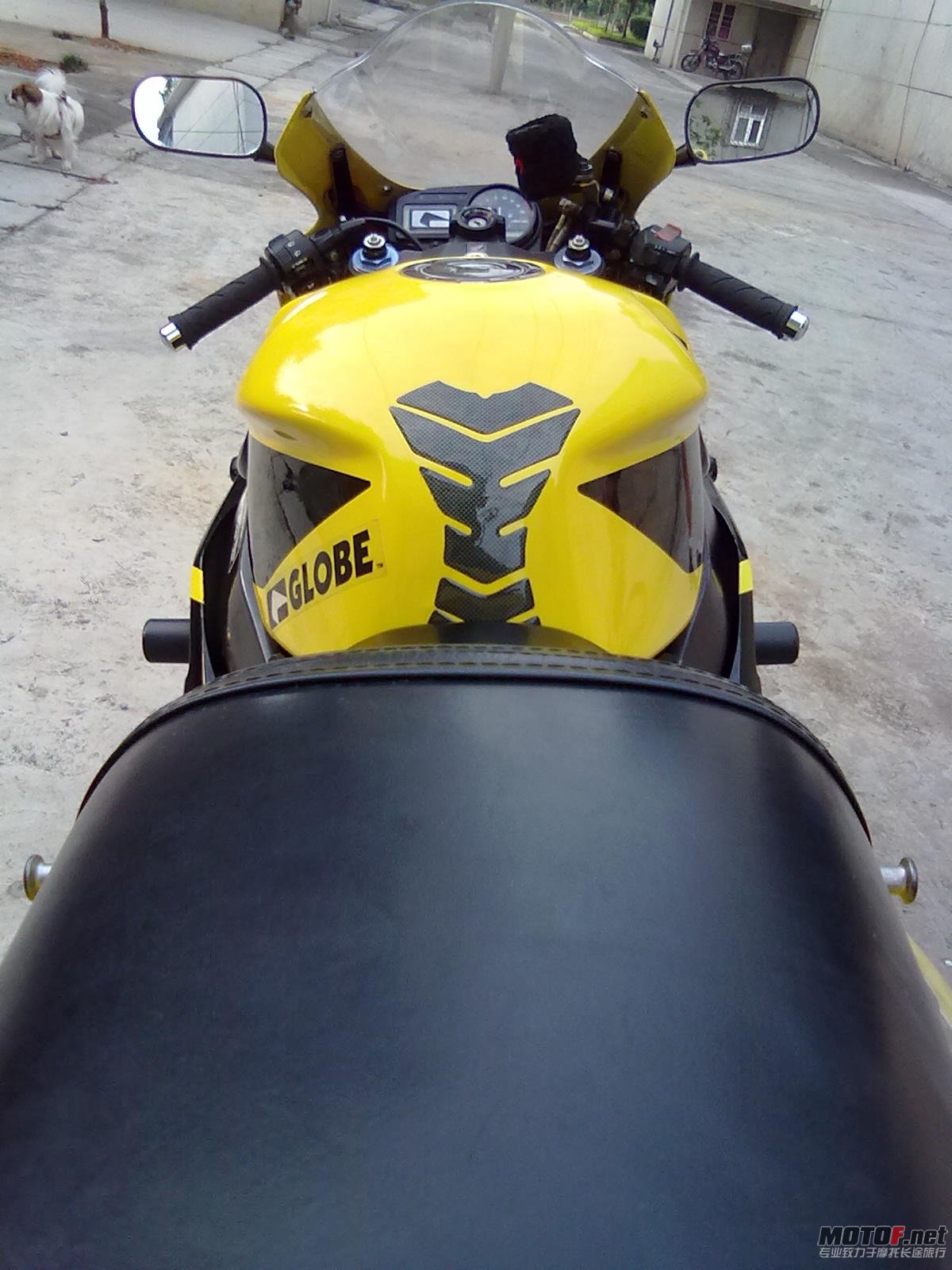 20110710054.jpg