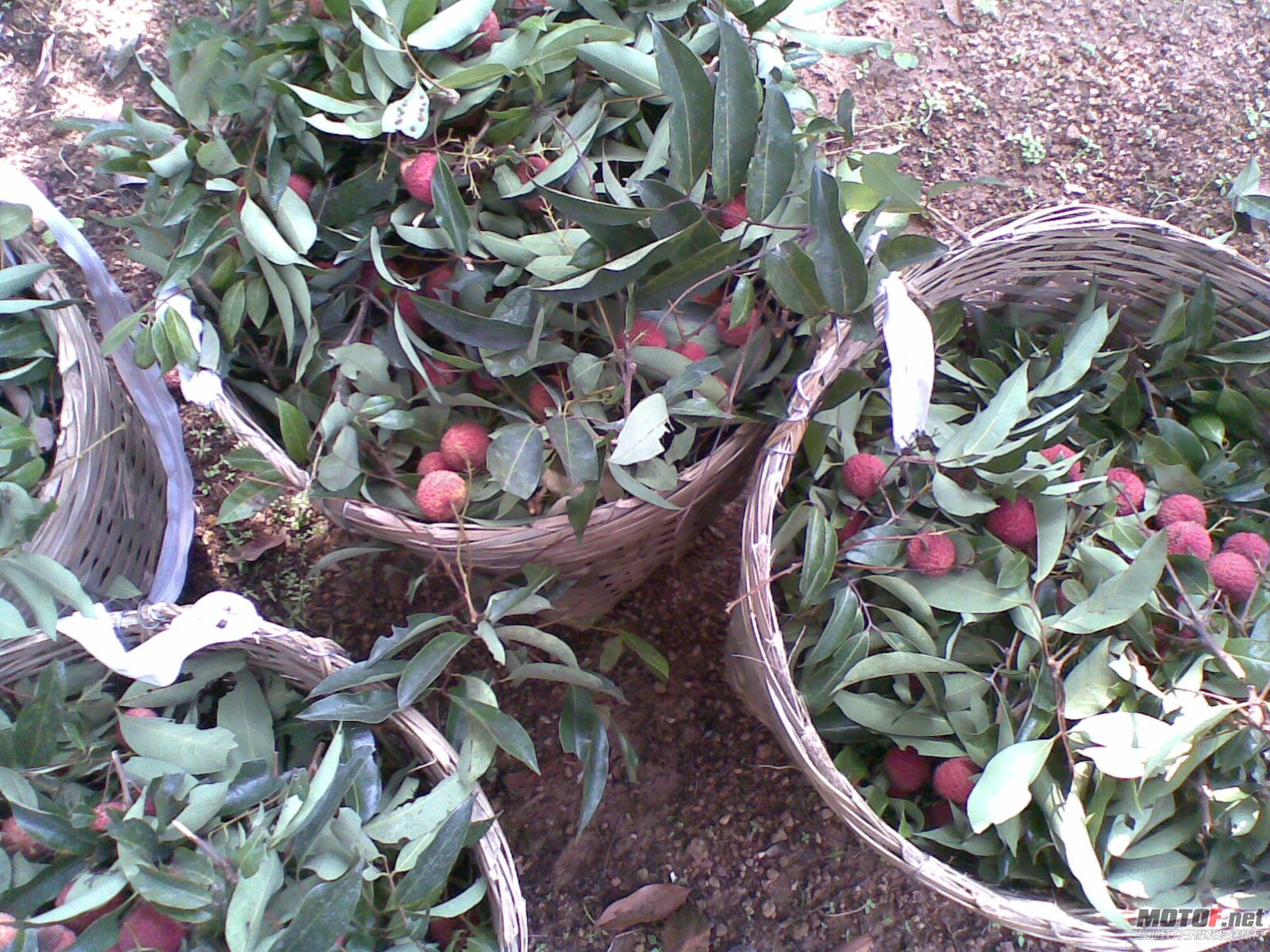 20110702(001).jpg